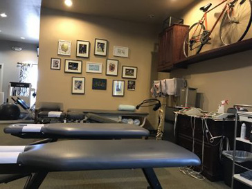 elite chiropractic 